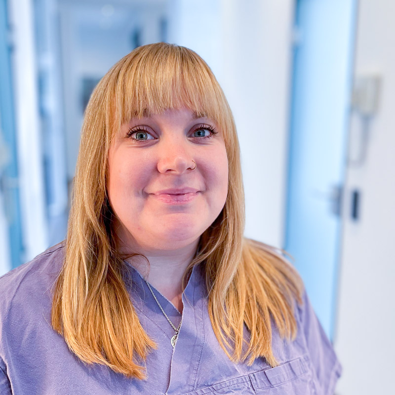 Praxisteam Dr. Wenzel